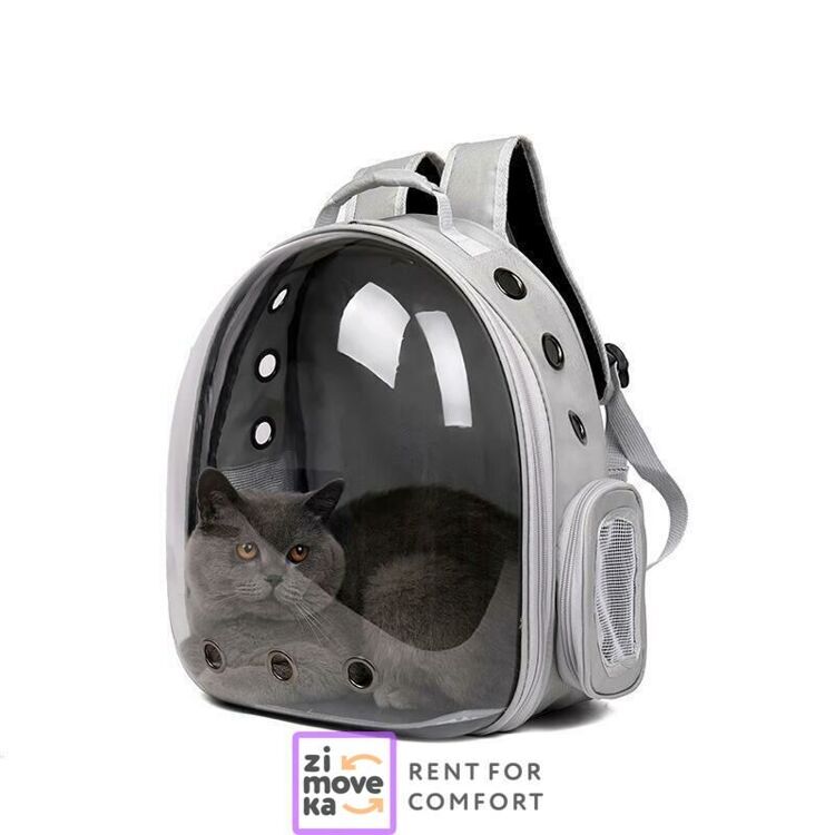 Pet carrier backpack