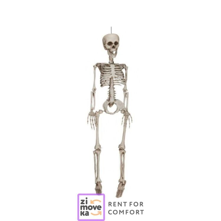 Large Halloween set