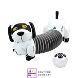 Toy robot dog