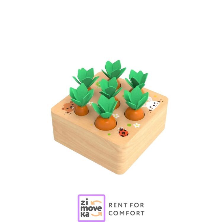 Wooden toy garden