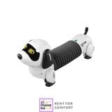 Toy robot dog